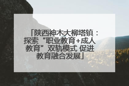 陕西神木大柳塔镇：探索“职业教育+成人教育”双轨模式 促进教育融合发展