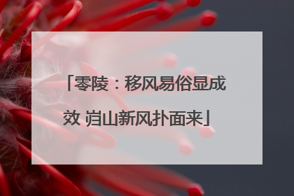 零陵：移风易俗显成效 岿山新风扑面来