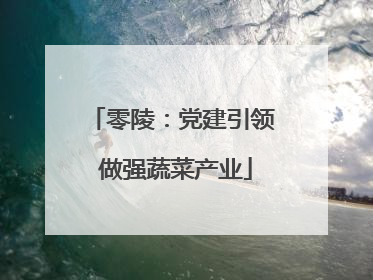 零陵：党建引领 做强蔬菜产业