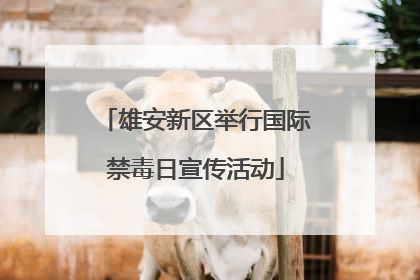 雄安新区举行国际禁毒日宣传活动