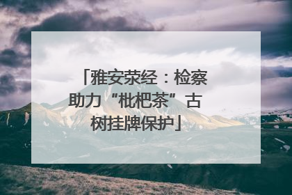 雅安荥经：检察助力“枇杷茶”古树挂牌保护
