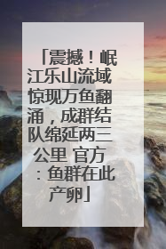 震撼！岷江乐山流域惊现万鱼翻涌，成群结队绵延两三公里 官方：鱼群在此产卵