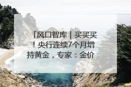 风口智库｜买买买！央行连续7个月增持黄金，专家：金价或仍易涨难跌