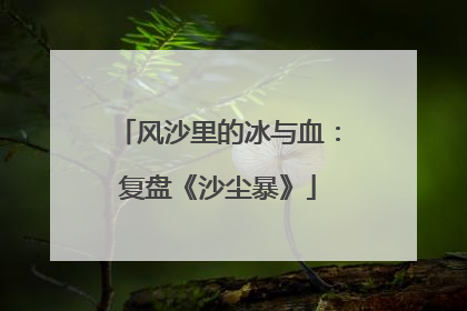 风沙里的冰与血：复盘《沙尘暴》