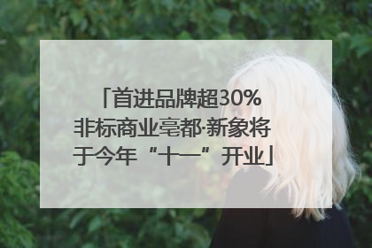 首进品牌超30% 非标商业亳都·新象将于今年“十一”开业