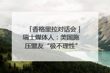 香格里拉对话会｜瑞士媒体人：美国施压盟友“极不理性” 欧洲国家无意与中国“脱钩断链”