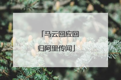 马云回应回归阿里传闻