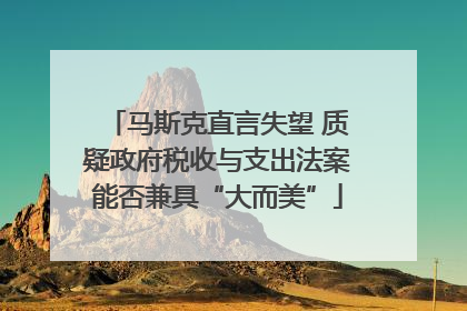 马斯克直言失望 质疑政府税收与支出法案能否兼具“大而美”