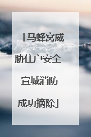 马蜂窝威胁住户安全 宣城消防成功摘除