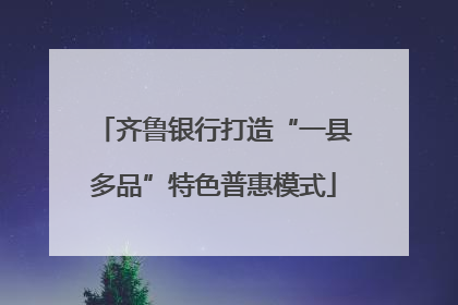 齐鲁银行打造“一县多品”特色普惠模式