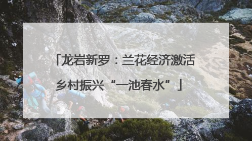 龙岩新罗：兰花经济激活乡村振兴“一池春水”