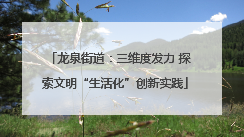 龙泉街道：三维度发力 探索文明“生活化”创新实践