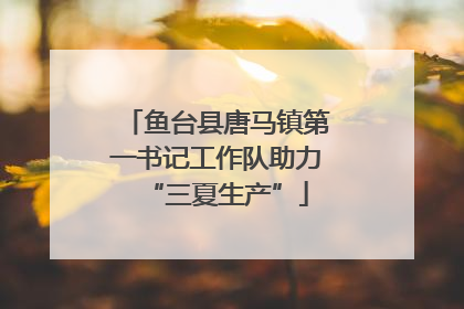 鱼台县唐马镇第一书记工作队助力“三夏生产”
