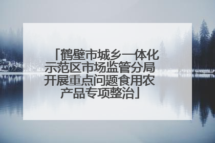 鹤壁市城乡一体化示范区市场监管分局开展重点问题食用农产品专项整治