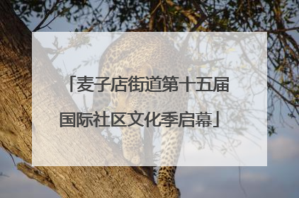 麦子店街道第十五届国际社区文化季启幕