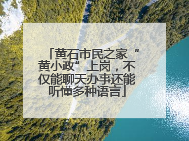 黄石市民之家“黄小政”上岗，不仅能聊天办事还能听懂多种语言