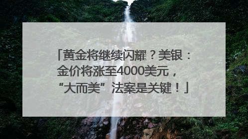 黄金将继续闪耀？美银：金价将涨至4000美元，“大而美”法案是关键！