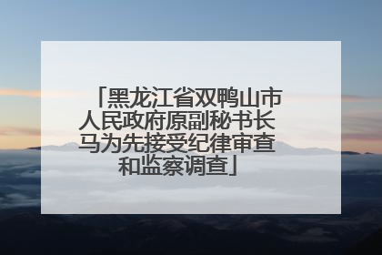 黑龙江省双鸭山市人民政府原副秘书长马为先接受纪律审查和监察调查