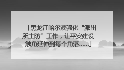 黑龙江哈尔滨强化“派出所主防”工作，让平安建设触角延伸到每个角落……