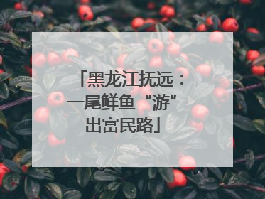 黑龙江抚远：一尾鲜鱼“游”出富民路