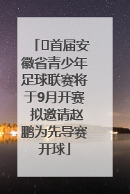﻿首届安徽省青少年足球联赛将于9月开赛 拟邀请赵鹏为先导赛开球
