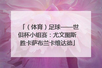 （体育）足球——世俱杯小组赛：尤文图斯胜卡萨布兰卡维达德