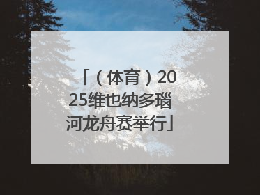 （体育）2025维也纳多瑙河龙舟赛举行