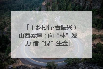 （乡村行·看振兴）山西襄垣：向“林”发力 借“绿”生金
