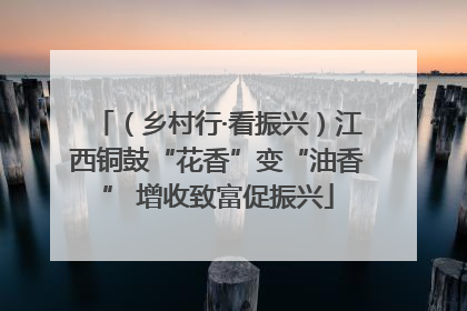 （乡村行·看振兴）江西铜鼓“花香”变“油香” 增收致富促振兴