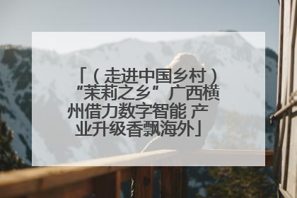 （走进中国乡村）“茉莉之乡”广西横州借力数字智能 产业升级香飘海外