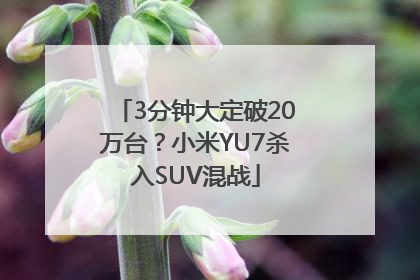 3分钟大定破20万台？小米YU7杀入SUV混战