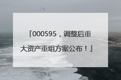 000595，调整后重大资产重组方案公布！