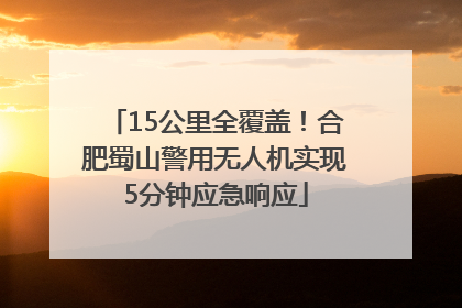 15公里全覆盖！合肥蜀山警用无人机实现5分钟应急响应