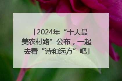 2024年“十大最美农村路”公布，一起去看“诗和远方”吧
