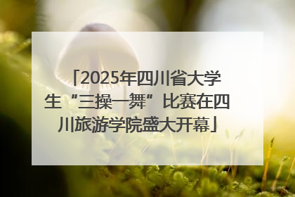 2025年四川省大学生“三操一舞”比赛在四川旅游学院盛大开幕