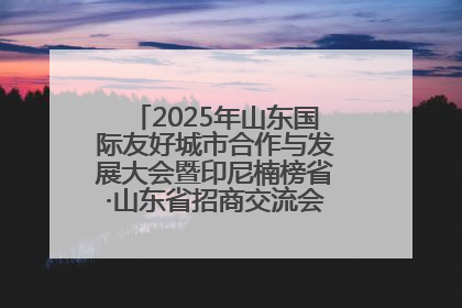 2025年山东国际友好城市合作与发展大会暨印尼楠榜省·山东省招商交流会在济南槐荫举行