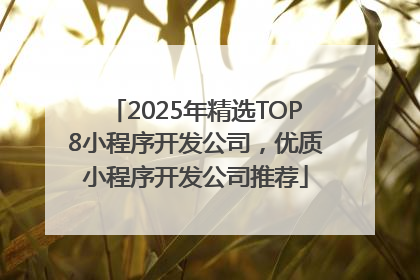 2025年精选TOP8小程序开发公司，优质小程序开发公司推荐