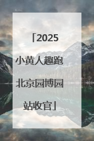 2025小黄人趣跑北京园博园站收官