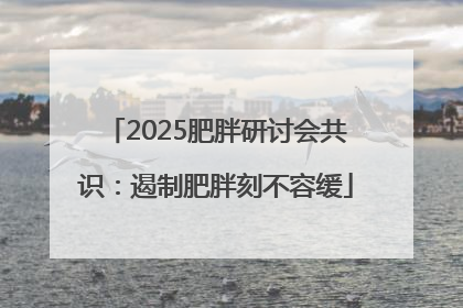 2025肥胖研讨会共识：遏制肥胖刻不容缓