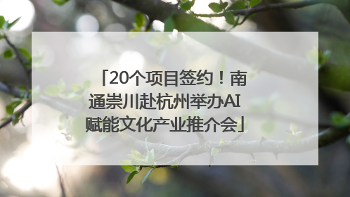 20个项目签约！南通崇川赴杭州举办AI赋能文化产业推介会