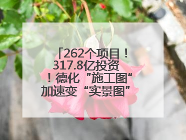 262个项目！317.8亿投资！德化“施工图”加速变“实景图”，现场燃爆了！