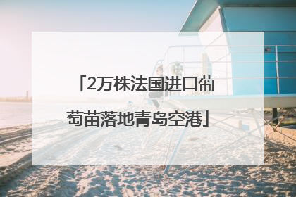 2万株法国进口葡萄苗落地青岛空港