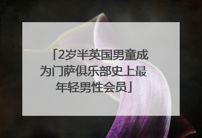 2岁半英国男童成为门萨俱乐部史上最年轻男性会员