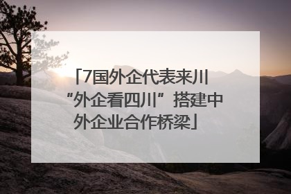 7国外企代表来川 “外企看四川”搭建中外企业合作桥梁