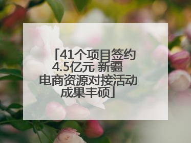 41个项目签约4.5亿元 新疆电商资源对接活动成果丰硕