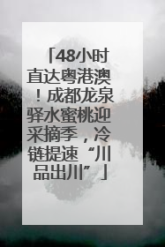 48小时直达粤港澳！成都龙泉驿水蜜桃迎采摘季，冷链提速“川品出川”