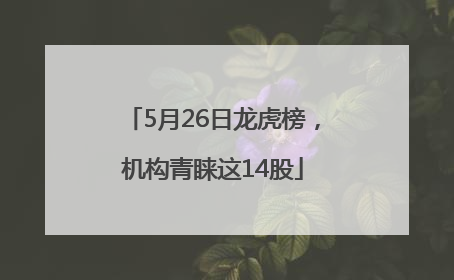 5月26日龙虎榜，机构青睐这14股