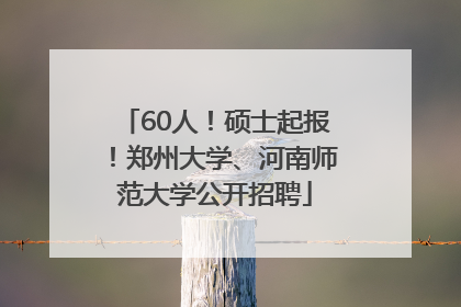 60人！硕士起报！郑州大学、河南师范大学公开招聘