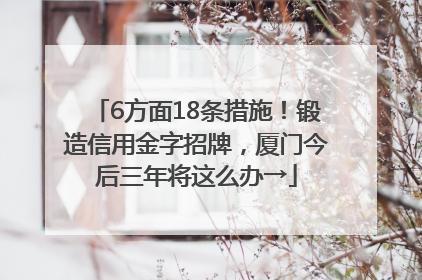 6方面18条措施！锻造信用金字招牌，厦门今后三年将这么办→