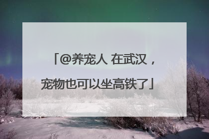 @养宠人 在武汉，宠物也可以坐高铁了